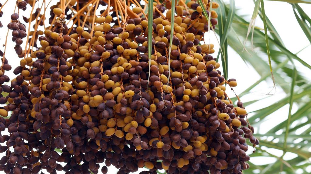 slide-6be9474 slide-6be9474